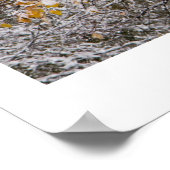 冬 ポスター (角)