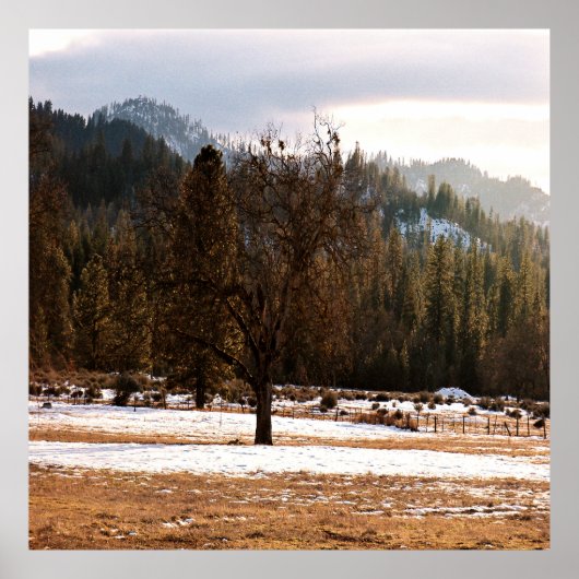 冬…..... ポスター (正面)