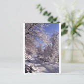 冬 ポストカード (スタンド正面)