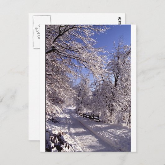 冬 ポストカード (正面/裏面)