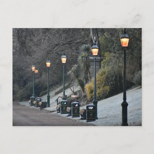 冬 ポストカード (正面)