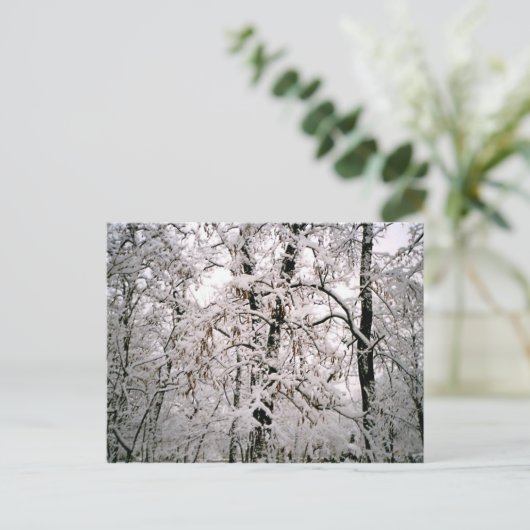 冬 ポストカード (スタンド正面)