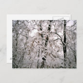 冬 ポストカード (正面/裏面)