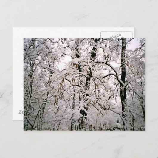 冬 ポストカード (正面/裏面)