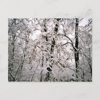 冬 ポストカード