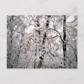 冬 ポストカード (正面)