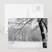 冬 ポストカード (正面/裏面)