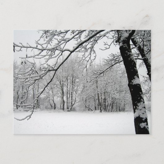 冬 ポストカード (正面)