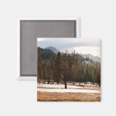 冬….. マグネット (正面/裏面)