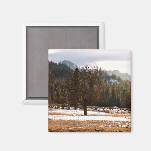 冬….. マグネット (正面/裏面)