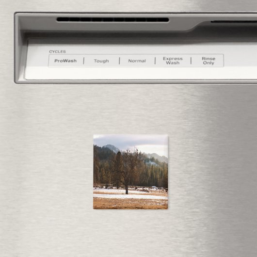 冬….. マグネット (インサイチュ (食洗機))