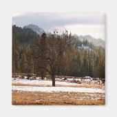 冬….. マグネット (正面)