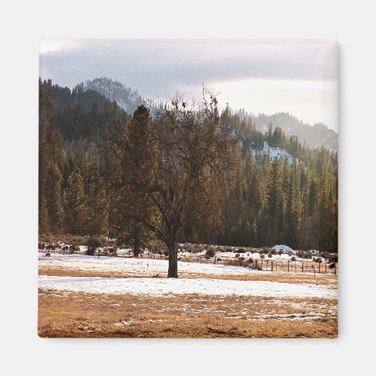 冬….. マグネット (正面)