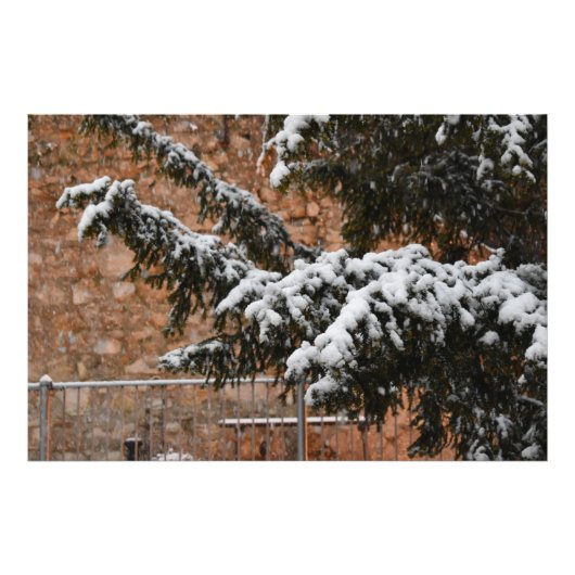 冬、木々に雪 フォトプリント            (正面)