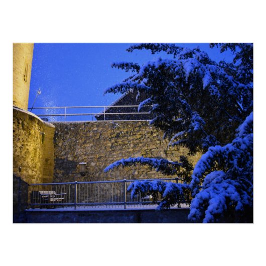 冬、木々に雪 ポスター (正面)