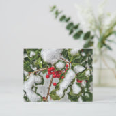 冬 – 氷コーテッドホリー ポストカード (スタンド正面)