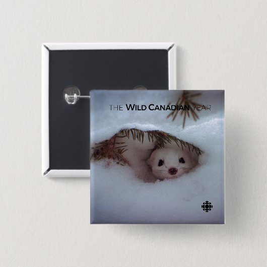 冬-短尾イタチ 缶バッジ (正面&裏面)