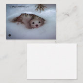 冬 – 短尾ワイゼル ノートカード (正面/裏面)