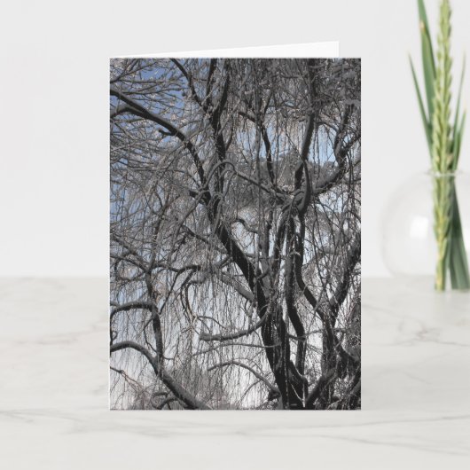 冬～24歳 シーズンカード (正面)