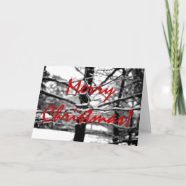 冬v.3 [クリスマスカード] シーズンカード