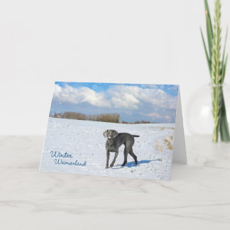 冬Weimarland シーズンカード