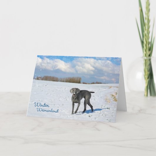 冬Weimarland シーズンカード (正面)