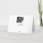 冷えたLeonbergerの挨拶状 カード (裏面)