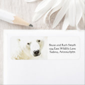 冷たいシロクマの視線 ラベル (インサイチュ)