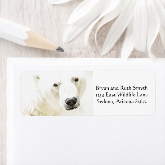 冷たいシロクマの視線 ラベル (インサイチュ)