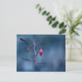 冷たいバラ ポストカード (スタンド正面)