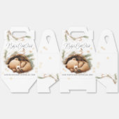 冷たい外のウッドランドベア冬の赤ちゃんシャワー フェイバーボックス (見開き)