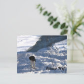 冷たい子犬 ポストカード (スタンド正面)