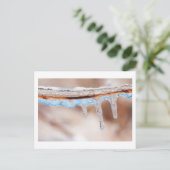 冷たい日に青くなる ポストカード (スタンド正面)