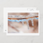 冷たい日に青くなる ポストカード (正面/裏面)