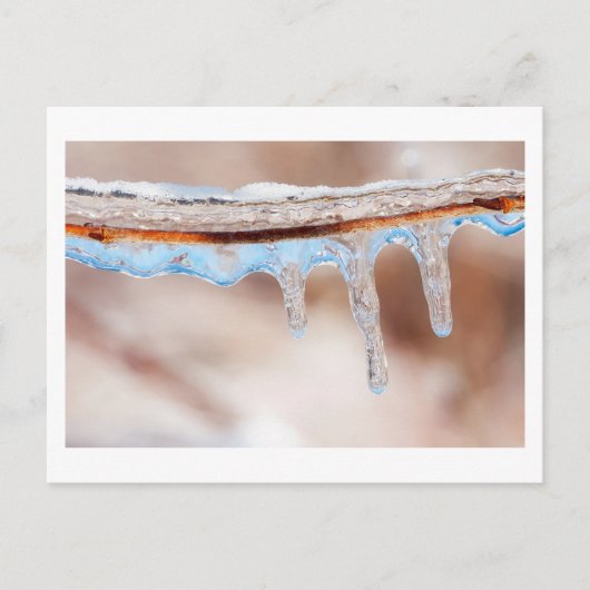 冷たい日に青くなる ポストカード (正面)