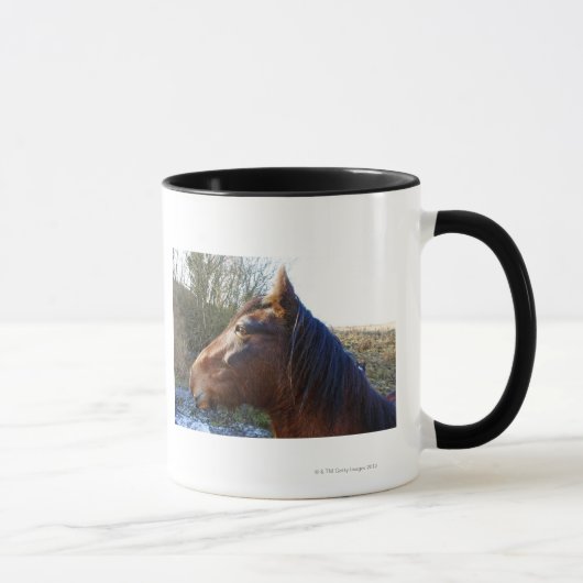 冷たい日の茶色の馬のポートレート マグカップ (右)