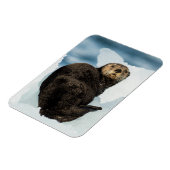 冷たい海のオーター マグネット (左側)