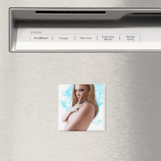 冷たい磁石 マグネット (インサイチュ (食洗機))