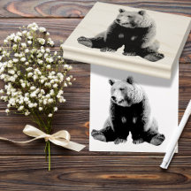 冷たい茶色のクマの切手