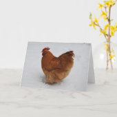 冷たい足 カード (黄色い花)