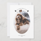 冷たい鼻の暖かい願い犬の写真クリスマス シーズンカード (正面)