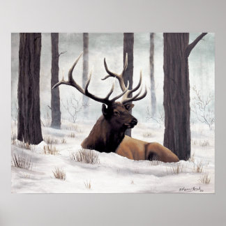 冷たい ポスター