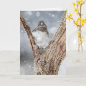 "冷たい" Junco, 5" x 7"折り畳みグリーティングカード カード (黄色い花)