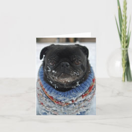 冷たいPUGノートカード – 空白の カード