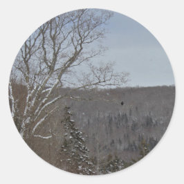 冷たくおよび孤独 ラウンドシール