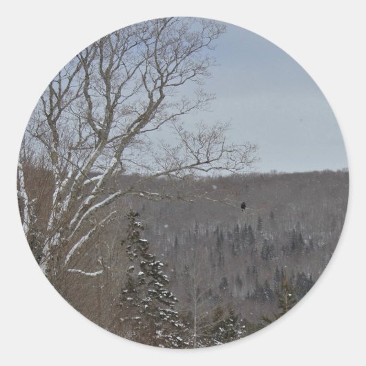 冷たくおよび孤独 ラウンドシール (正面)