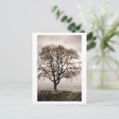 冷たくて可愛い ポストカード (スタンド正面)