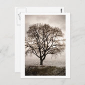 冷たく美しい ポストカード (正面/裏面)