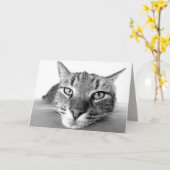 冷ややかなグリーティングカード カード (黄色い花)