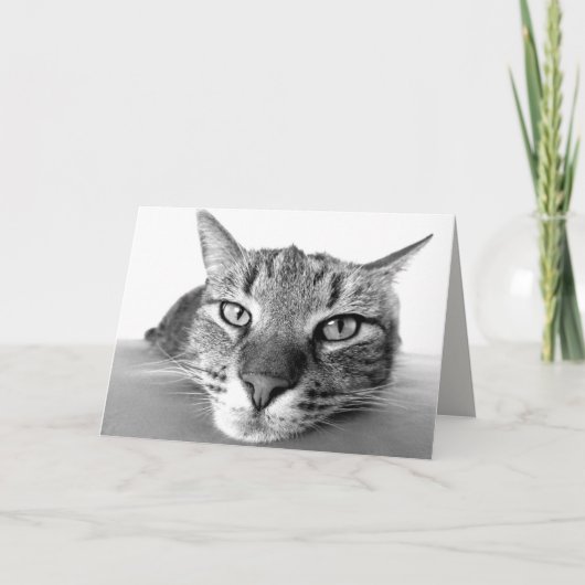 冷ややかなグリーティングカード カード (正面)